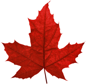 canada-leafs