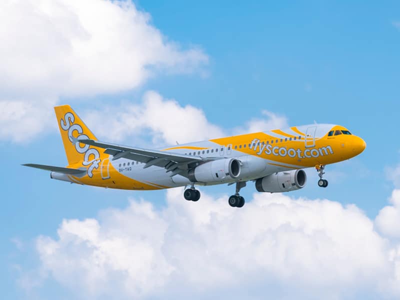 Scoot Airline酷航航空公司IATA TR 三字码 TGW 递接物流